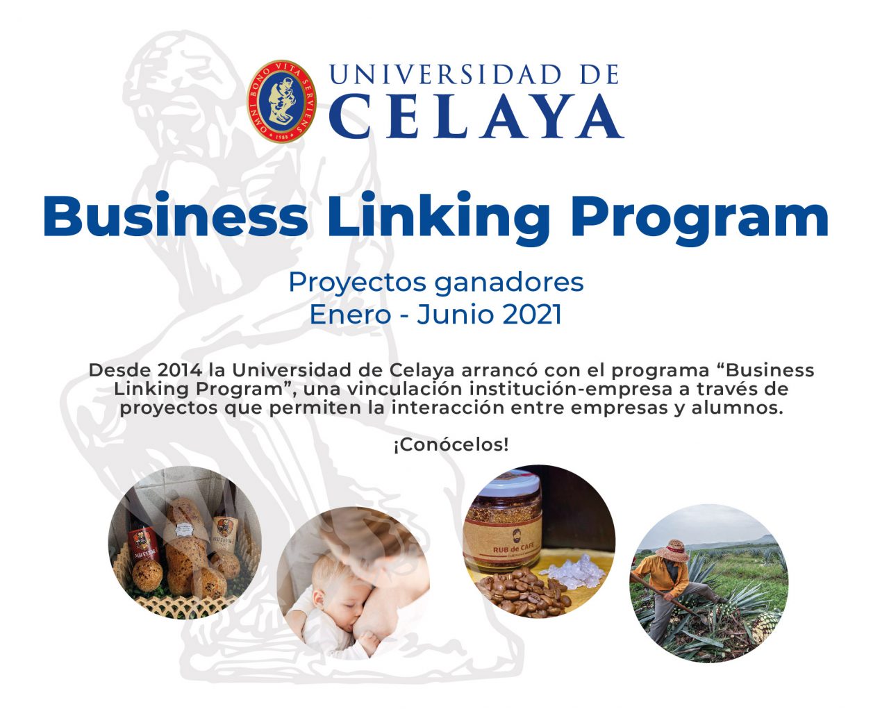Business Linking Program | Universidad de Celaya