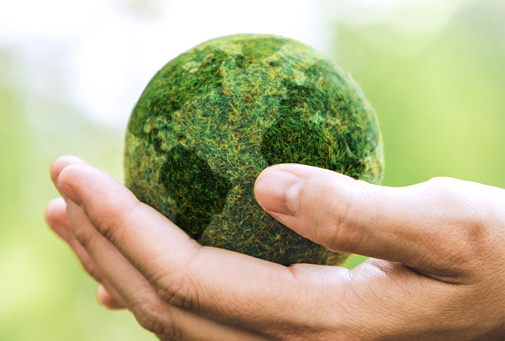 Perspectiva histórica sobre las advertencias ambientales 