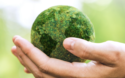 Perspectiva histórica sobre las advertencias ambientales